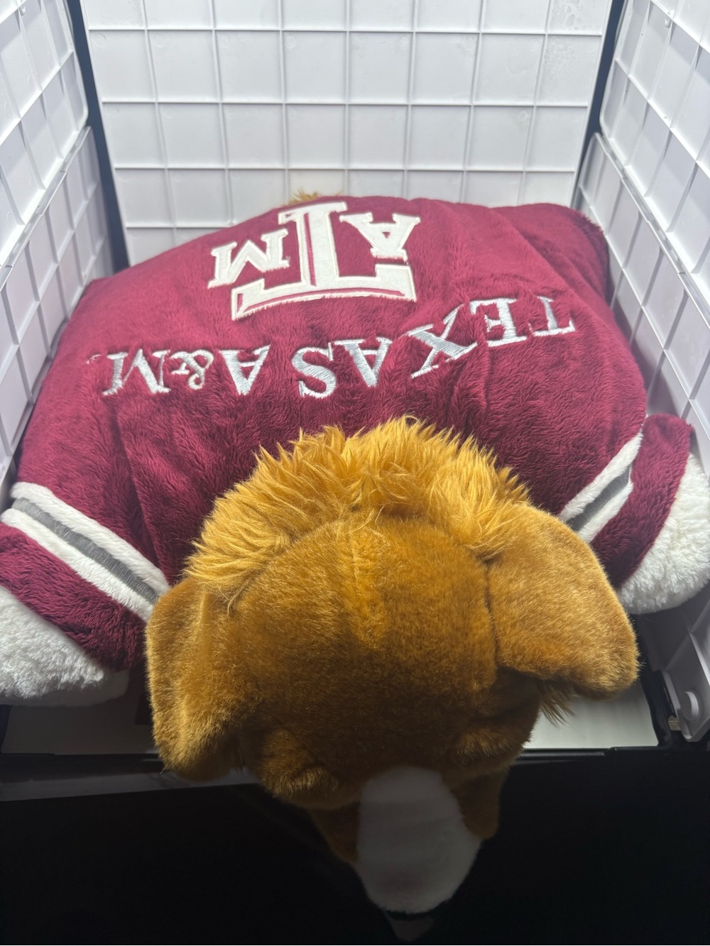 POL Plush Pet Bed - Maroon, Gold & White